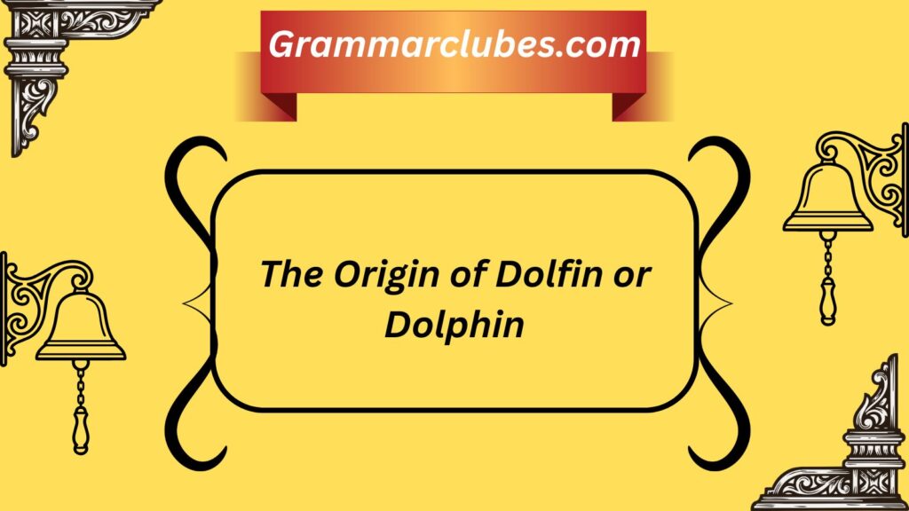 The Origin of Dolfin or Dolphin