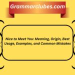 Nice to Meet You