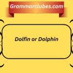 Dolfin or Dolphin